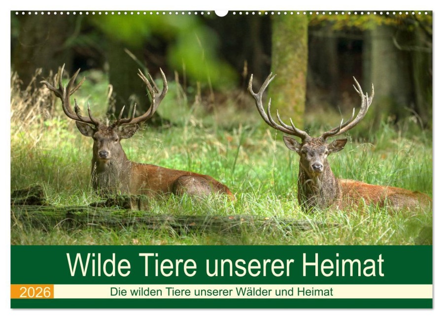 Wilde Tiere unserer Heimat (Wandkalender 2026 DIN A2 quer), CALVENDO Monatskalender - Roland Brack
