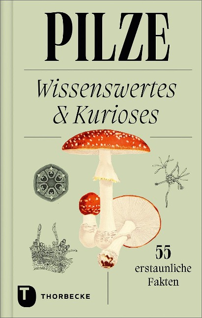 Pilze - 