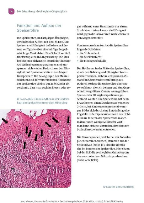 InsideView 8