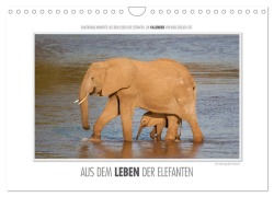 Cover-Bild zum Titel 'Emotionale Momente: Aus dem Leben der Elefanten. / CH-Version (Wandkalender 2026 DIN A4 quer), CALVENDO Monatskalender' von 'Ingo Gerlach GDT'