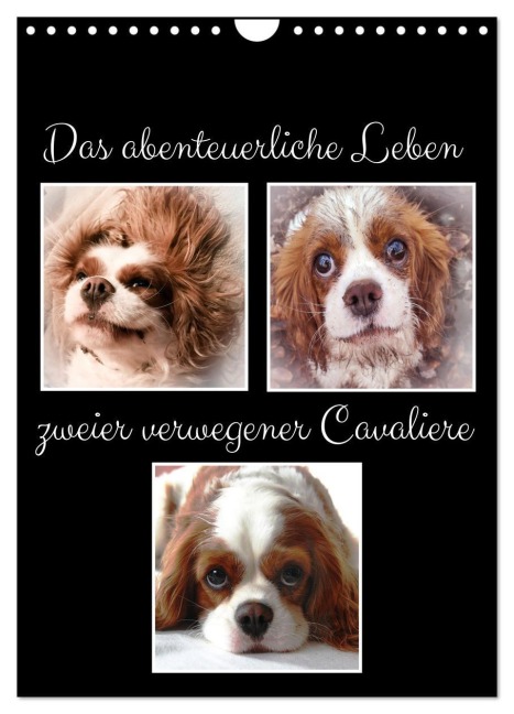 Das abenteuerliche Leben zweier verwegener Cavaliere (Wandkalender 2026 DIN A4 hoch), CALVENDO Monatskalender - Eva Ola Feix