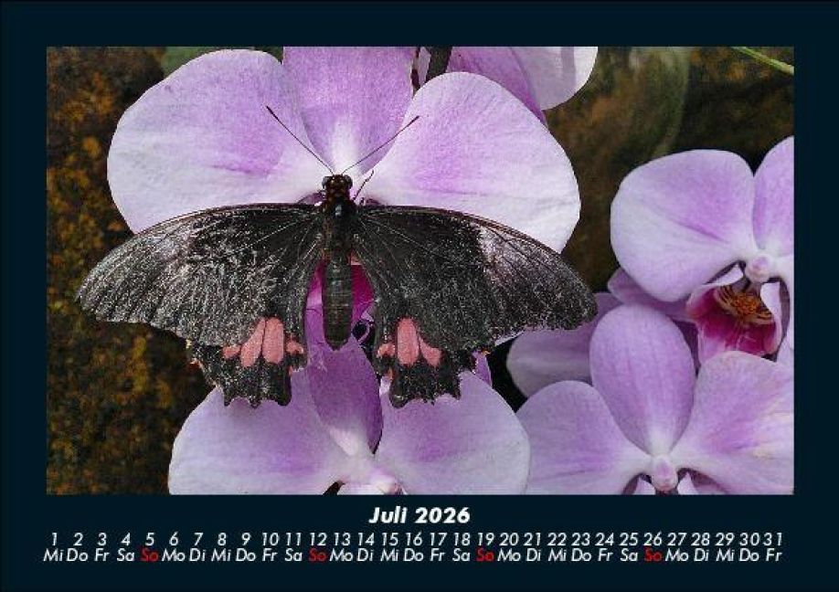 InsideView 11