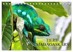 Cover-Bild zum Titel 'Tiere Madagaskars (Tischkalender 2026 DIN A5 quer), CALVENDO Monatskalender' von 'Céline Baur'