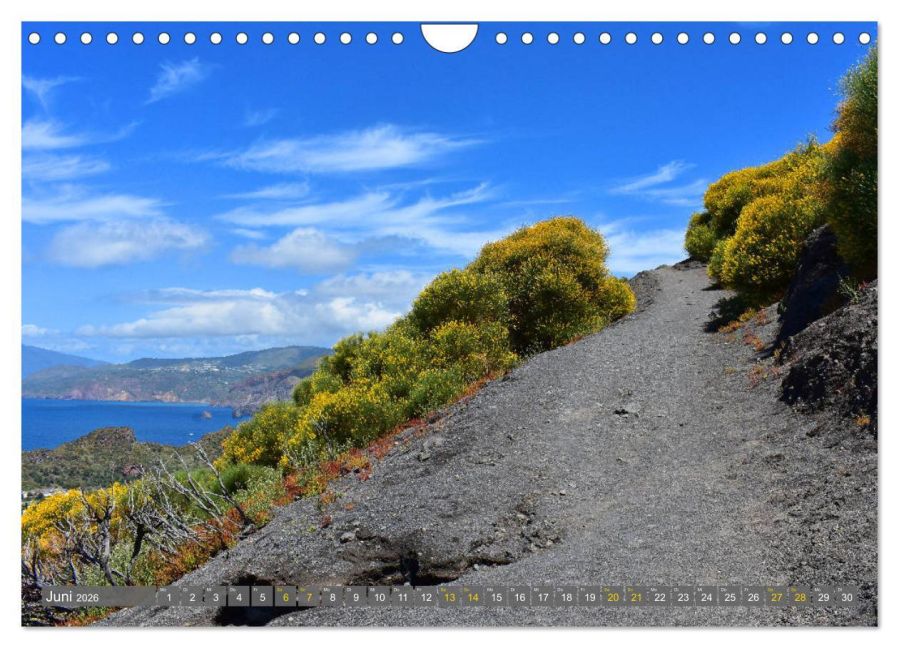 InsideView 11