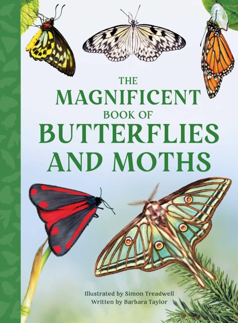 The Magnificent Book of Butterflies & Moths - Barbara Taylor