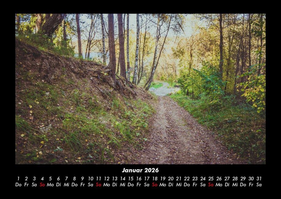 InsideView 5