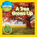 Explore My World: A Tree Grows Up - Marfe Ferguson Delano