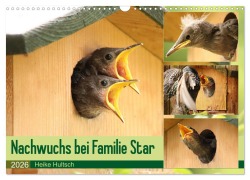 Cover-Bild zum Titel 'Nachwuchs bei Familie Star (Wandkalender 2026 DIN A3 quer), CALVENDO Monatskalender' von 'Heike Hultsch'
