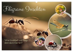 Cover-Bild zum Titel 'Filigrane Insekten (Wandkalender 2026 DIN A2 quer), CALVENDO Monatskalender' von 'Claudia Kleemann'