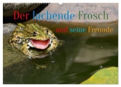Der lachende Frosch und seine Freunde (Wandkalender 2026 DIN A2 quer), CALVENDO Monatskalender - Rufotos Rufotos