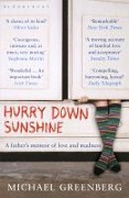 Cover-Bild zum Titel 'Hurry Down Sunshine' von 'Michael Greenberg'