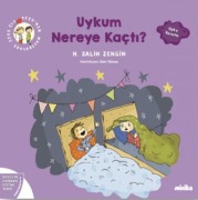 Cover-Bild zum Titel 'Uykum Nereye Kacti' von 'H. Salih Zengin'