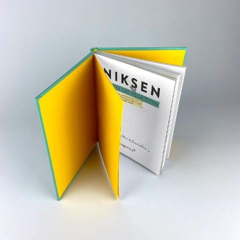 InsideView 4