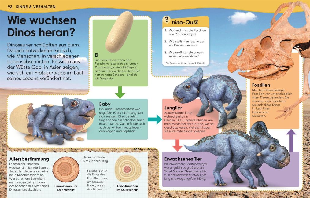 InsideView 7