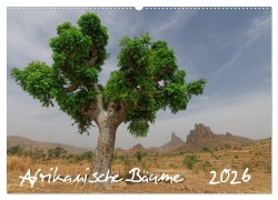 Cover-Bild zum Titel 'Afrikanische Bäume (Wandkalender 2026 DIN A2 quer), CALVENDO Monatskalender' von 'Gerald Wolf'