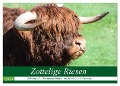 Zottelige Riesen - Schottische Hochlandrinder (Wandkalender 2024 DIN A4 quer), CALVENDO Monatskalender - Jean-Louis Glineur