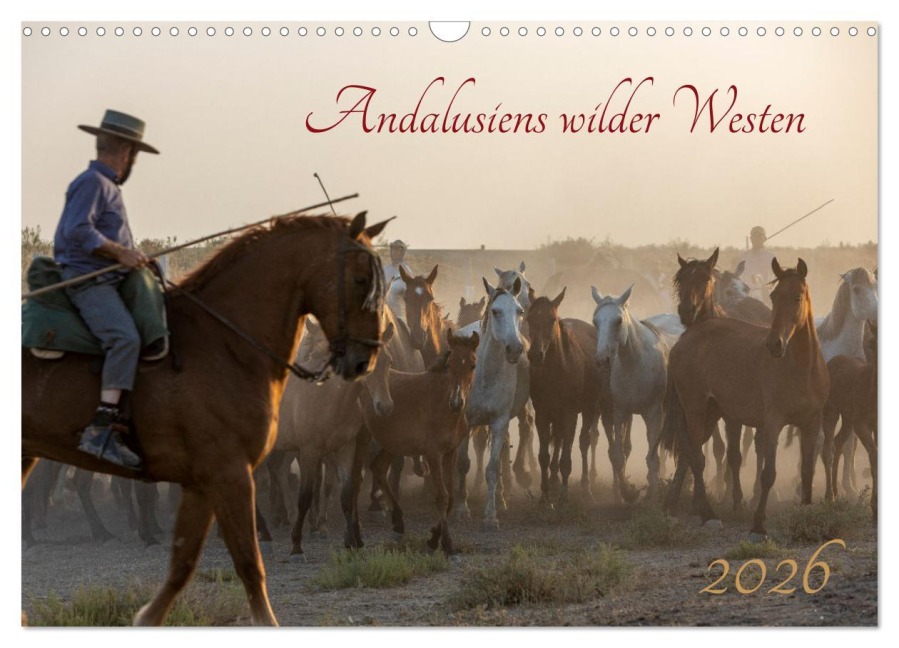 Pferde - Andalusiens wilder Westen (Wandkalender 2026 DIN A3 quer), CALVENDO Monatskalender - Monica Gumm
