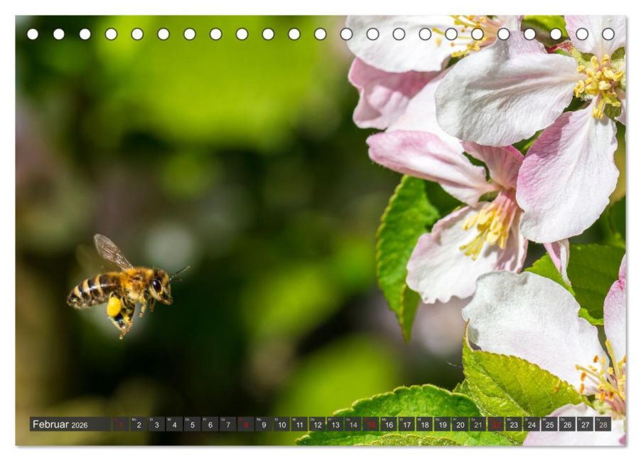 InsideView 7