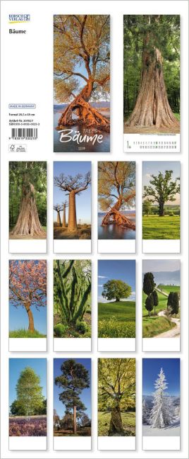 InsideView 13