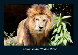 Cover-Bild zum Titel 'Löwen in der Wildnis 2027 Fotokalender DIN A4' von 'Tobias Schmitt, Kevin Heber'