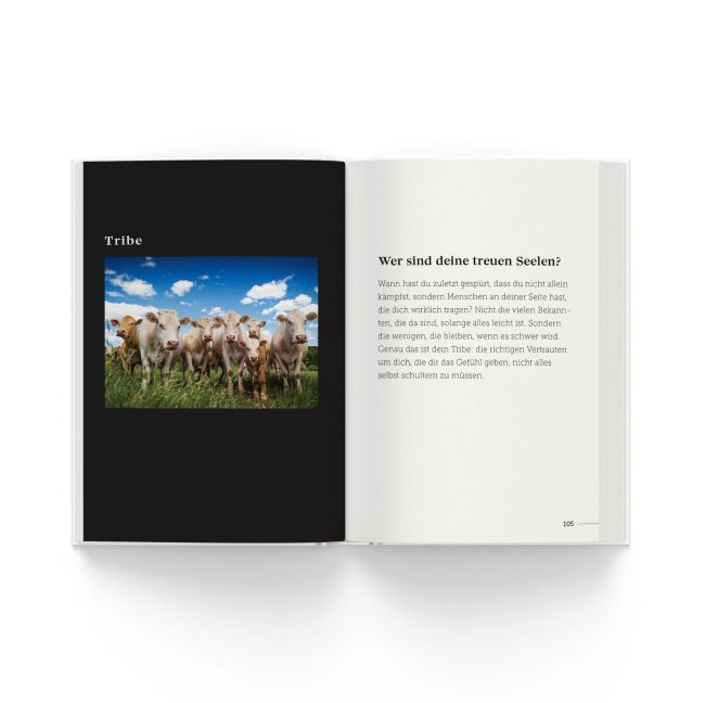 InsideView 3