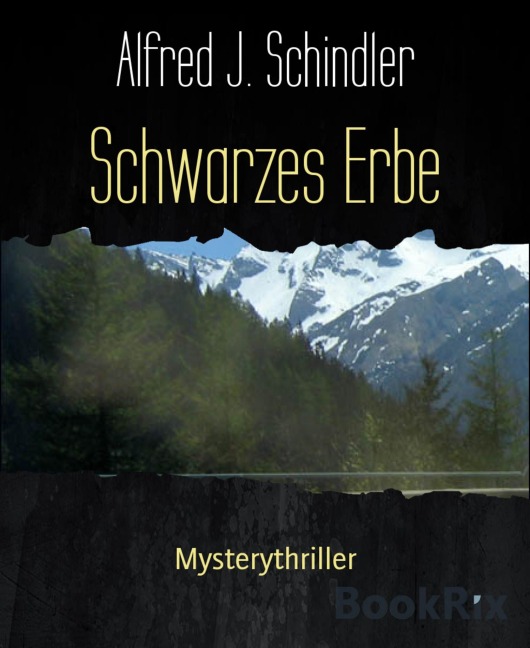Schwarzes Erbe - Alfred J. Schindler