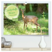 Cover-Bild zum Titel 'Zauberhafte Wesen - anmutiges Rehwild (hochwertiger Premium Wandkalender 2026 DIN A2 quer), Kunstdruck in Hochglanz' von 'Angela Merk'