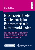 Effizienzorientierter Kundenerfolg im Bankgeschäft mit Mittelstandskunden - Nino Raddao