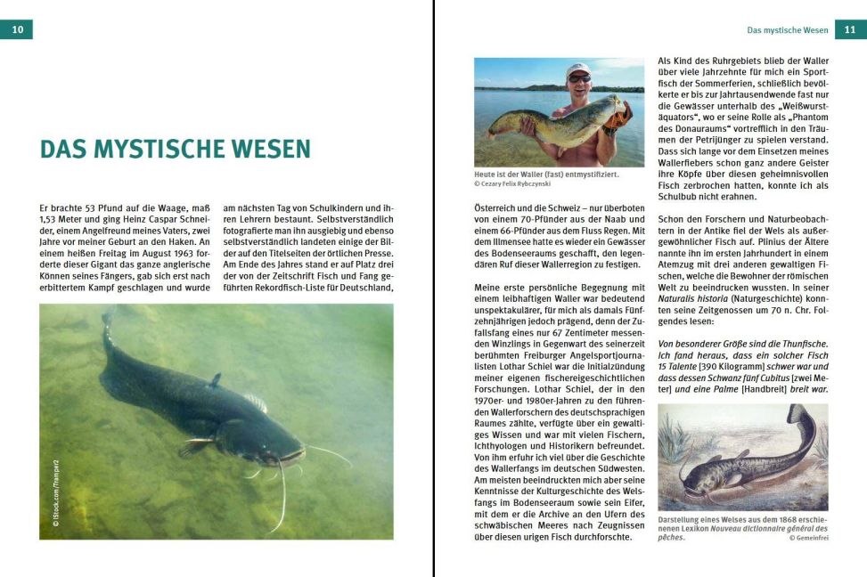 InsideView 3