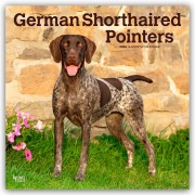 German Shorthaired Pointers - Deutsch Kurzhaar 2026 - 16-Monatskalender - Browntrout Publishers