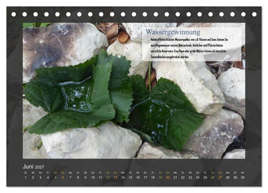 InsideView 11