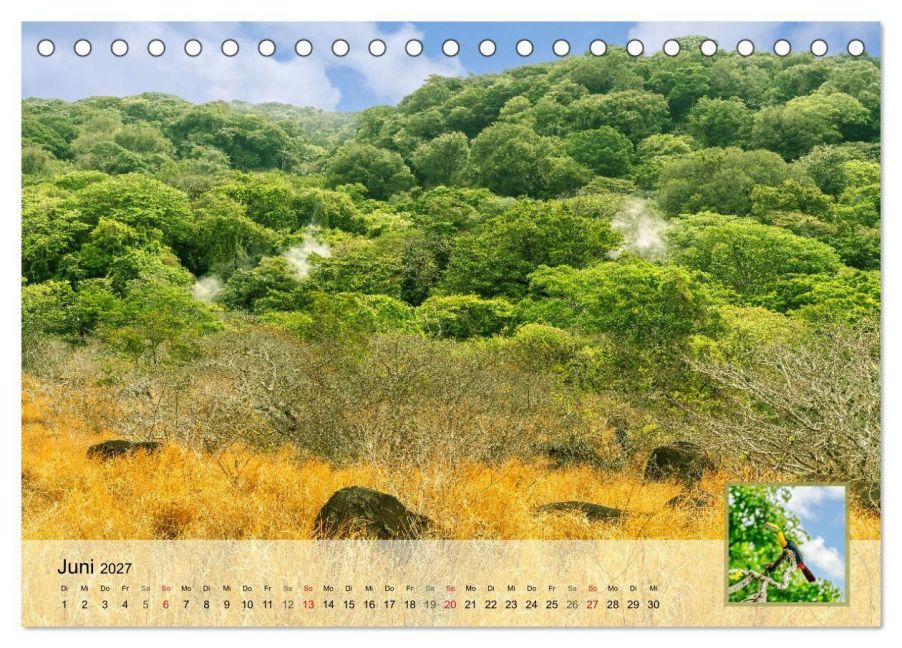 InsideView 11