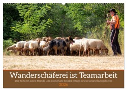 Wanderschäferei ist Teamarbeit (Wandkalender 2026 DIN A2 quer), CALVENDO Monatskalender - Marion Sixt