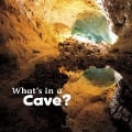 Cover-Bild zum Titel 'What's in a Cave?' von 'Martha E H Rustad'