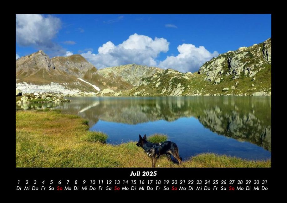 InsideView 11