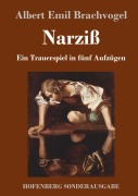Cover-Bild zum Titel 'Narziß' von 'Albert Emil Brachvogel'