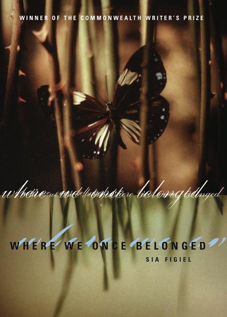 Where We Once Belonged - 