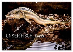 Cover-Bild zum Titel 'UNSER FISCH. SÜßWASSER. (Wandkalender 2026 DIN A2 quer), CALVENDO Monatskalender' von 'Arne Morgenstern'