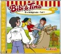 Cover-Bild zum Titel 'Folge 13:Die Wildpferde Teil 1' von 'Bibi & Tina'