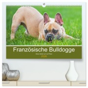 Cover-Bild zum Titel 'Französische Bulldogge - Kleine Helden auf vier Pfoten (hochwertiger Premium Wandkalender 2026 DIN A2 quer), Kunstdruck in Hochglanz' von 'Sigrid Starick'