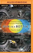 Sun in a Bottle: The Strange History of Fusion and the Science of Wishful Thinking - Charles Seife