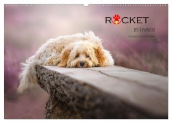 Rocket der Havaneser (Wandkalender 2026 DIN A2 quer), CALVENDO Monatskalender - Bettina Dittmann