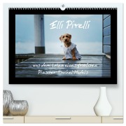 Cover-Bild zum Titel 'Elli Pirelli... aus dem Leben eines fröhlichen Pinscher-Dackel-Mädels (hochwertiger Premium Wandkalender 2026 DIN A2 quer), Kunstdruck in Hochglanz' von 'Kathrin Köntopp'