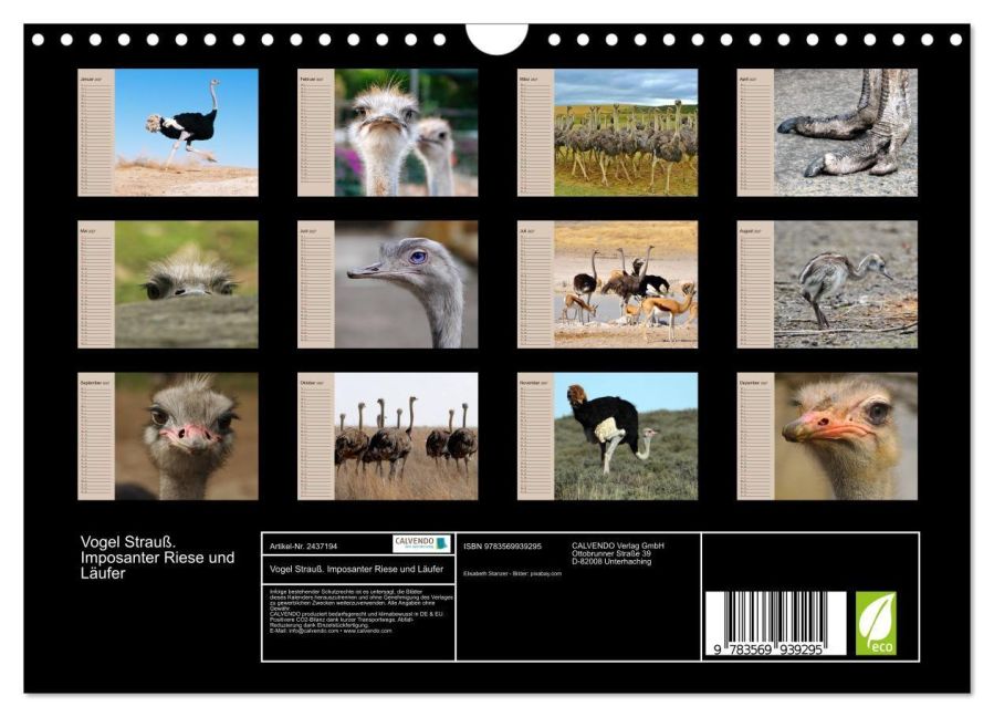 InsideView 5