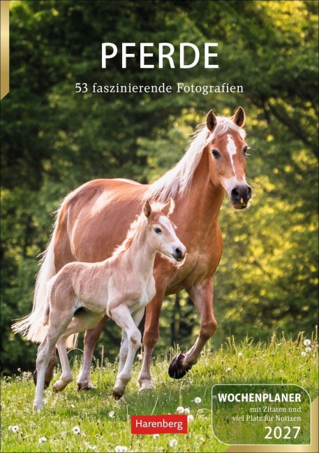 Pferde Wochenplaner 2027 - 53 faszinierende Fotografien - 