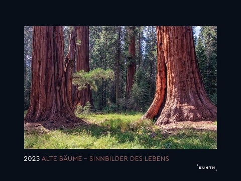 Alte Bäume, Sinnbilder des Lebens - KUNTH Wandkalender 2025 - 