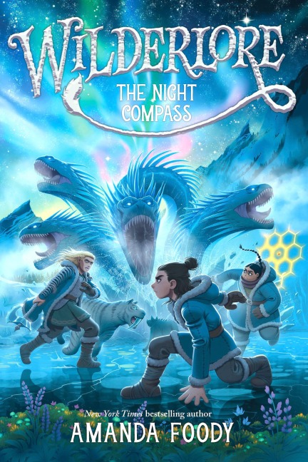 The Night Compass - Amanda Foody