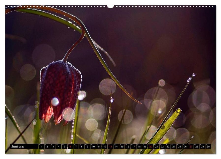 InsideView 10