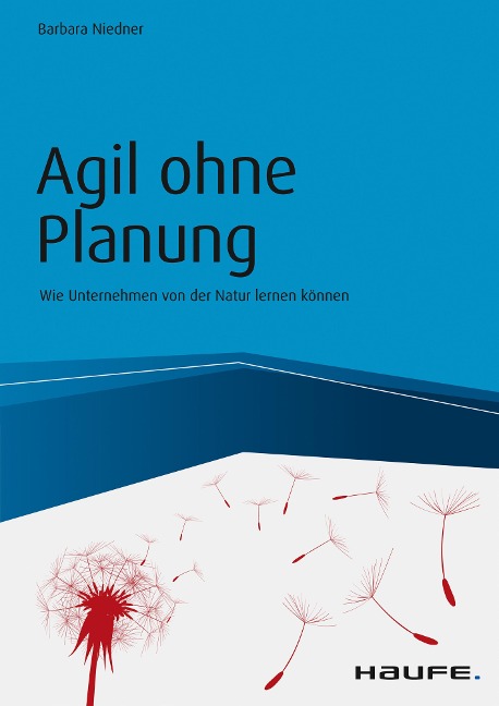Agil ohne Planung - Barbara Niedner