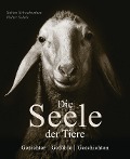 Cover-Bild zum Titel 'Die Seele der Tiere. Gesichter. Gefühle. Geschichten' von 'Sabine Remy-Schwabenthan'